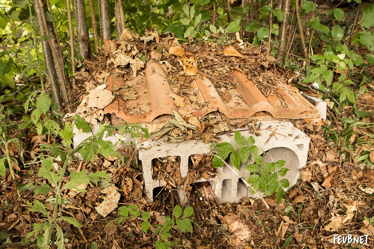 Construire un abri pour hérisson avec des parpaings